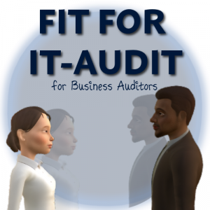 Fit for IT-Audit